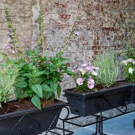 New Warm, Bed En Koffie Apartament