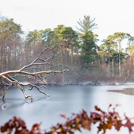 New Warm, Bed En Koffie