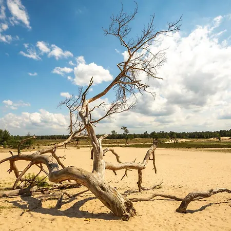 New Warm, Bed En Koffie