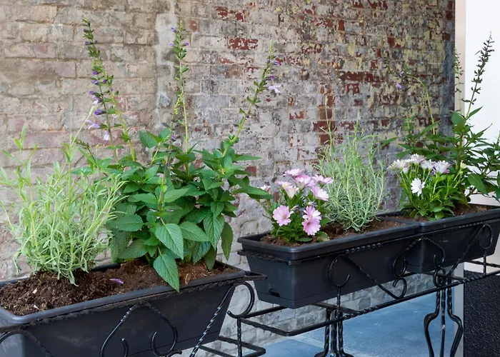 New Warm, Bed En Koffie Lägenhet