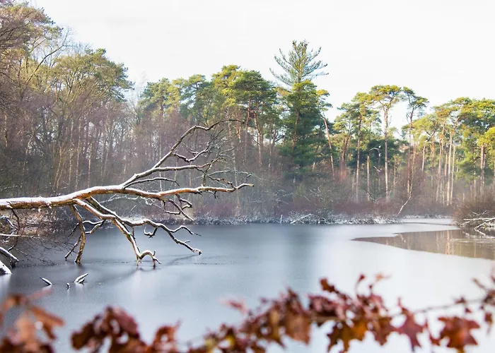 New Warm, Bed En Koffie