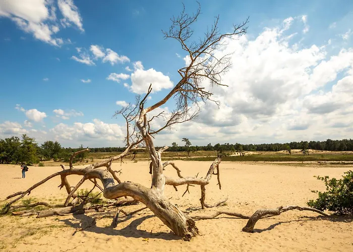 New Warm, Bed En Koffie